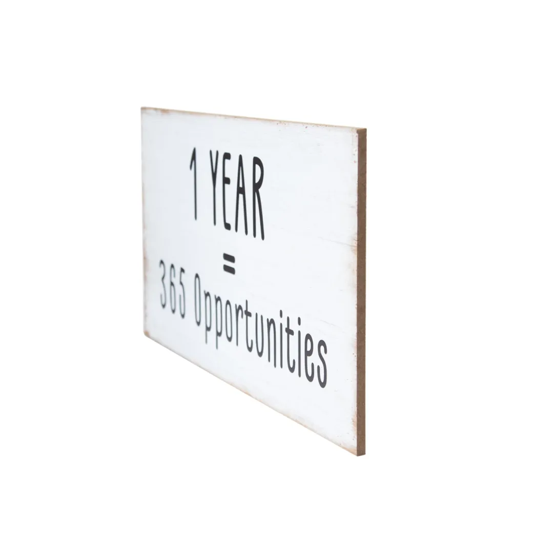 1 YEAR = 365 Opportunities - Wall Hanging Plaque