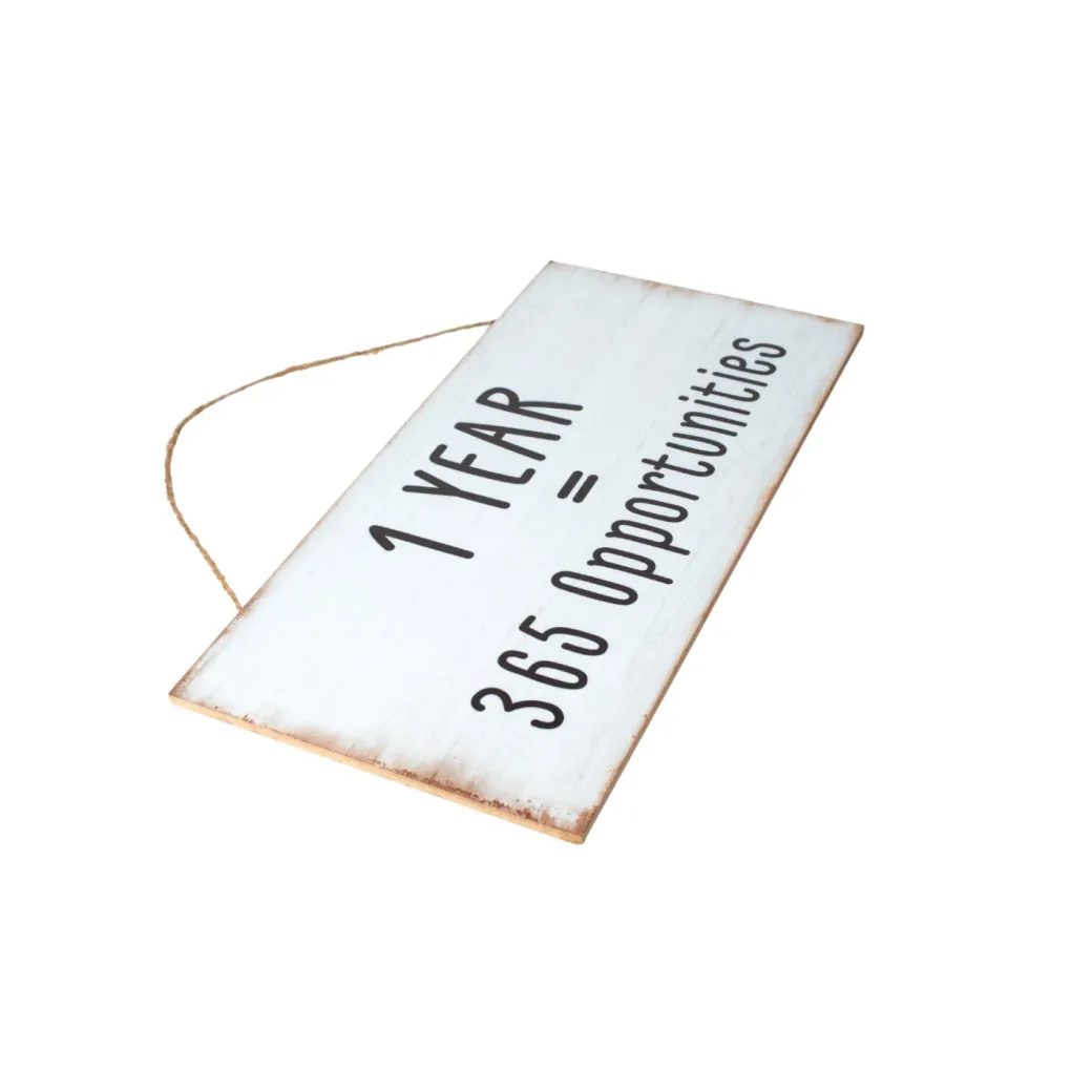 1 YEAR = 365 Opportunities - Wall Hanging Plaque