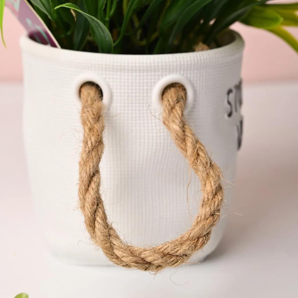 Artificial Flower With Pot – Green & White