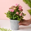 Artificial Plant With Pot – Green & Pink