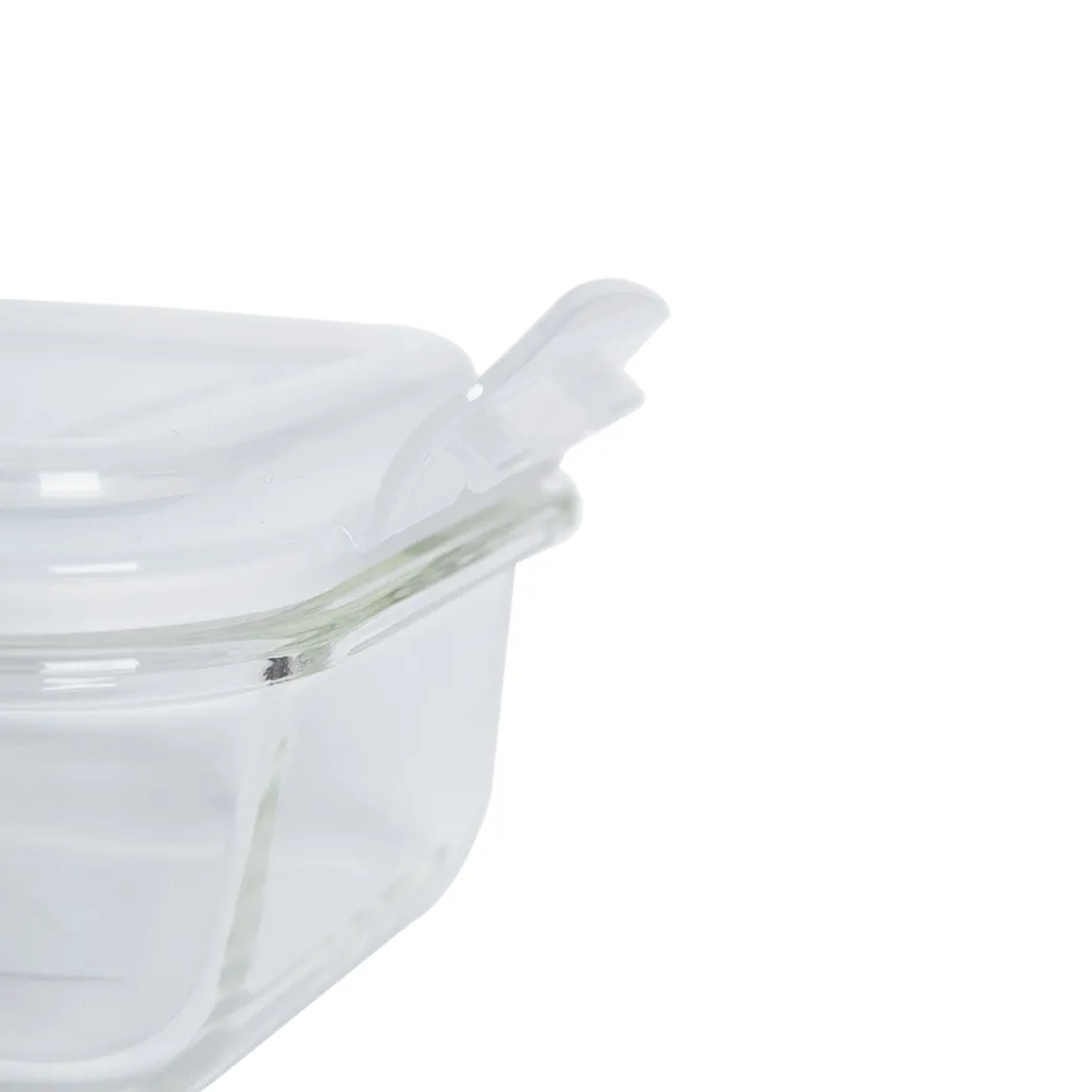 Borosilicate Food Containers (Pack of 2 - 640ml & 1040ml)