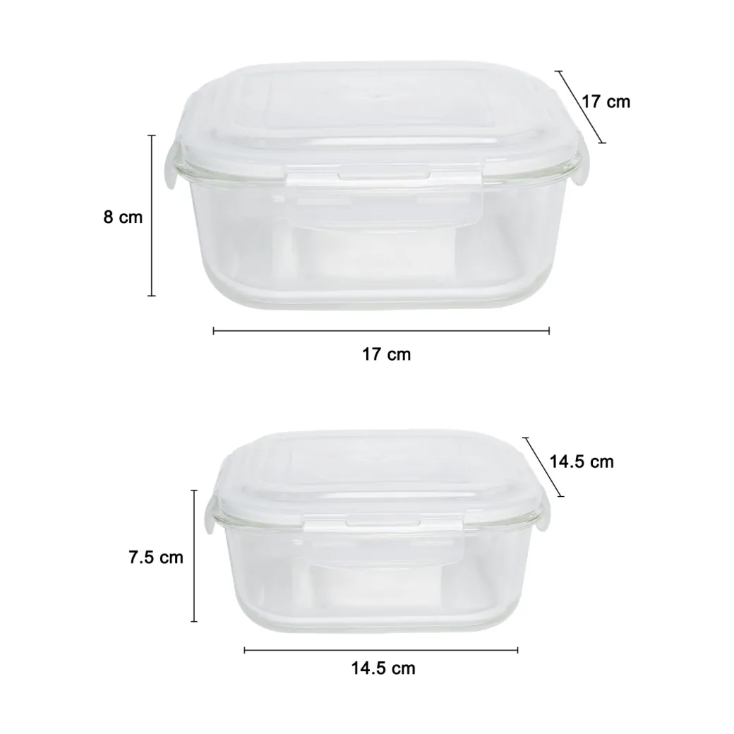 Borosilicate Food Containers (Pack of 2 - 800ml & 1200ml)