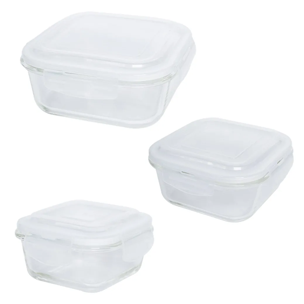 Borosilicate Food Containers (Pack of 3 - 320ml, 800ml & 1200ml)