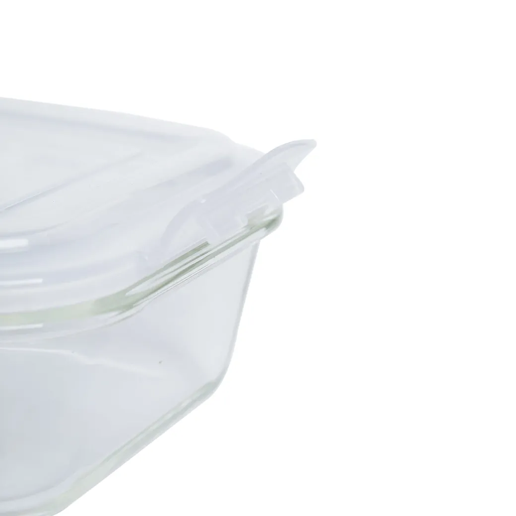 Borosilicate Food Containers (Pack of 3 - 320ml, 800ml & 1200ml)