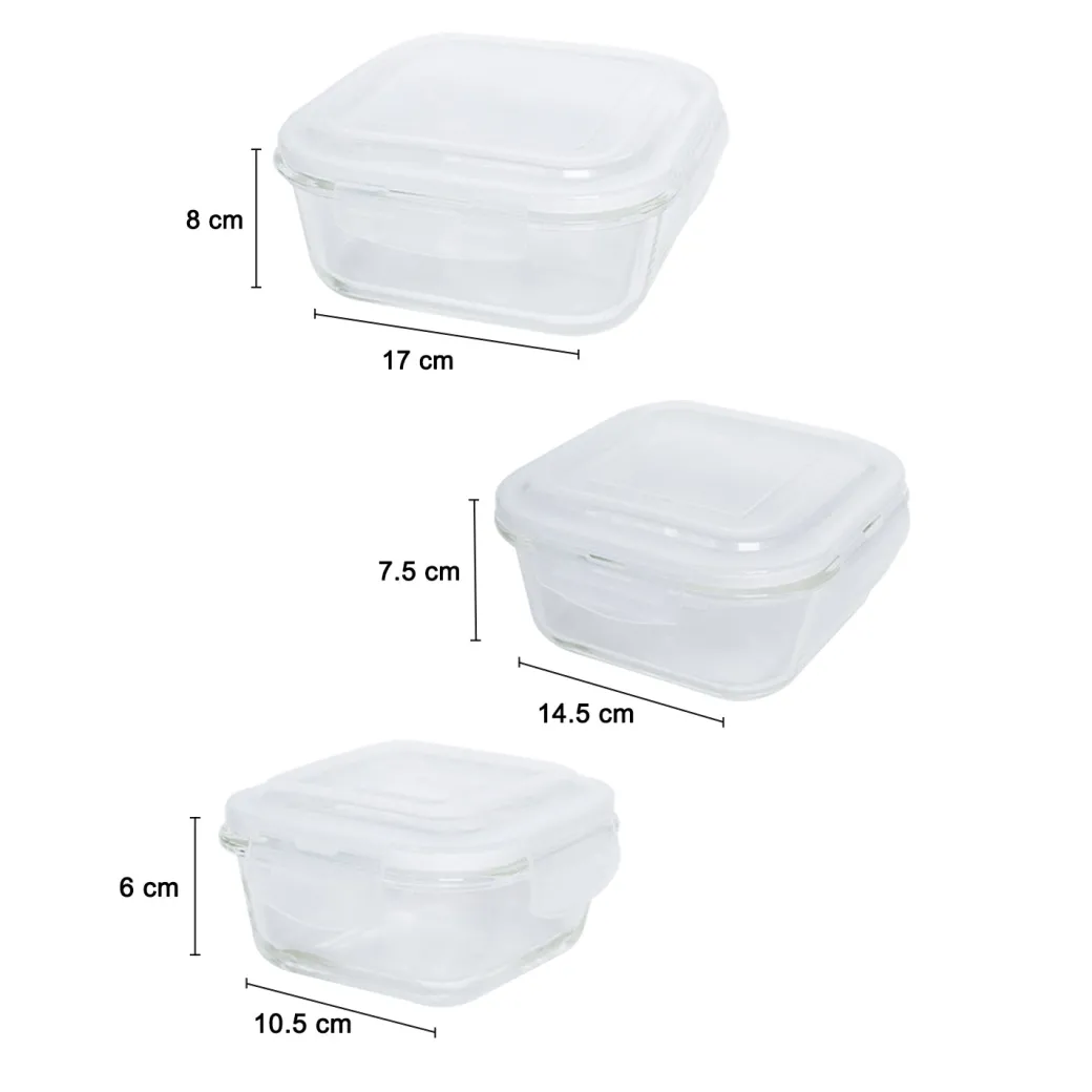 Borosilicate Food Containers (Pack of 3 - 320ml, 800ml & 1200ml)