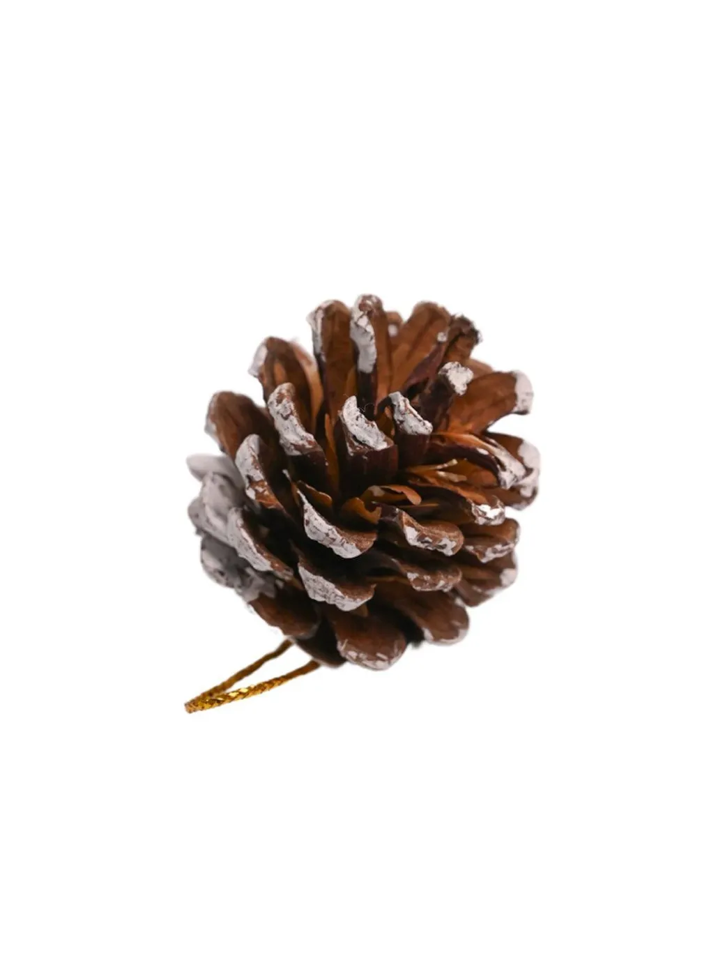Christmas Tree Hanging Ball (Gold, Set Of 20 Pcs)