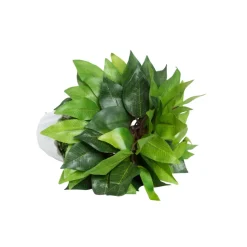 Ciliated Leaves Artificial Flower Vase For Home Décor