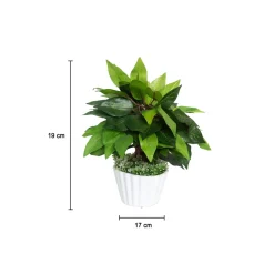 Ciliated Leaves Artificial Flower Vase For Home Décor