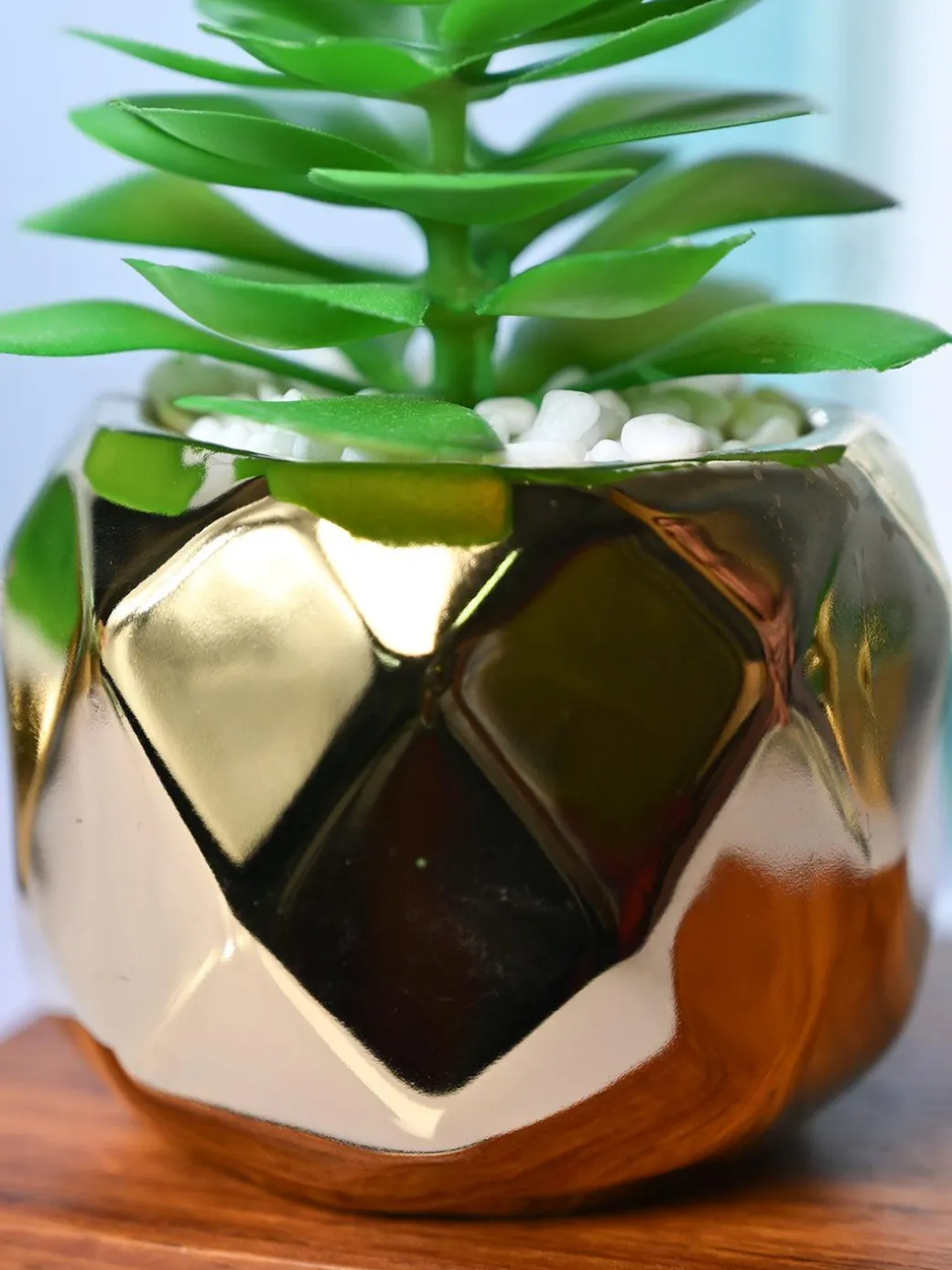 Golden Lattice - Artificial Plant in Ceramic Pot