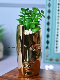 Golden Serenity - Face Design Artificial Plant with Pot
