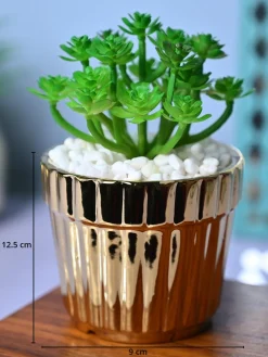 Golden Stripes - Artificial Plant with Glossy Ceramic Pot