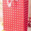 Large Valentine Gift Bag