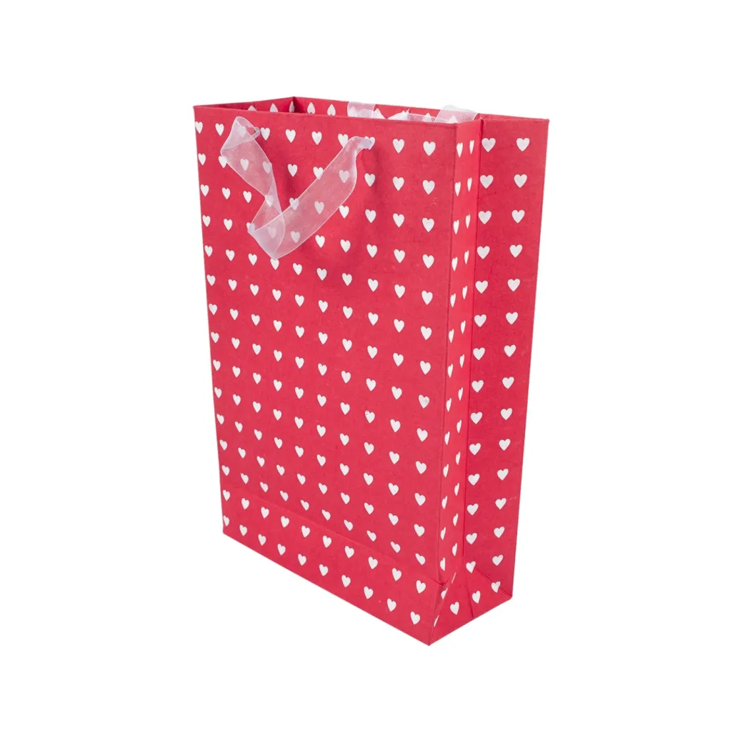 Large Valentine Gift Bag