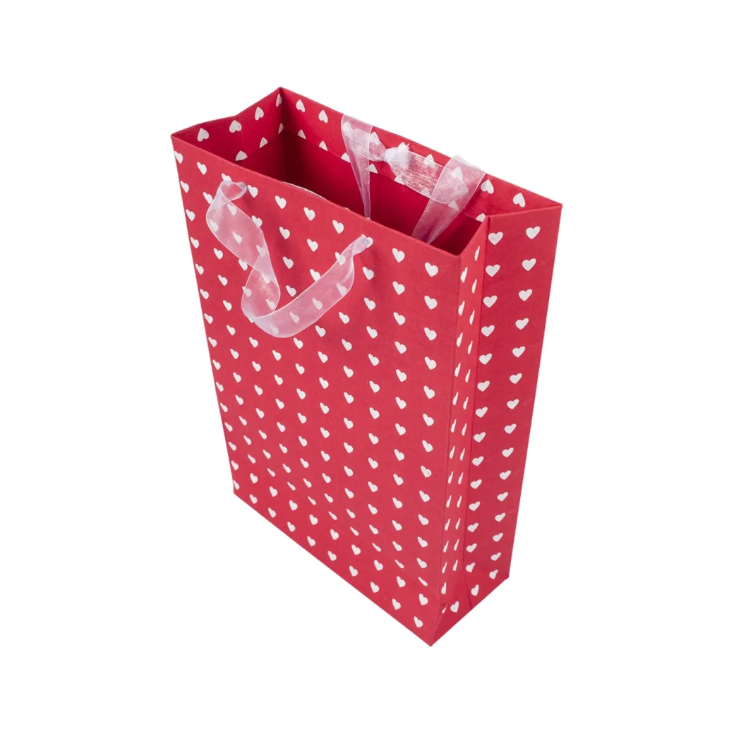 Large Valentine Gift Bag