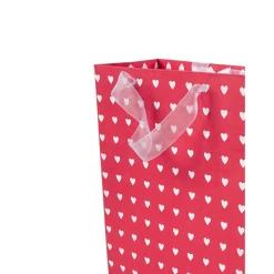 Large Valentine Gift Bag