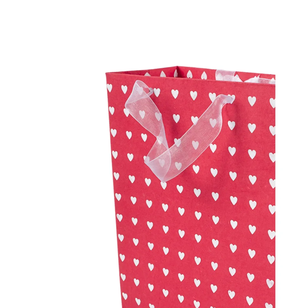 Large Valentine Gift Bag