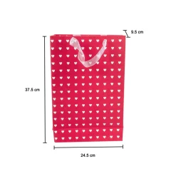 Large Valentine Gift Bag