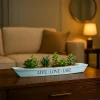 Market99 Blue Boat-Shaped Plastic Flower Pot