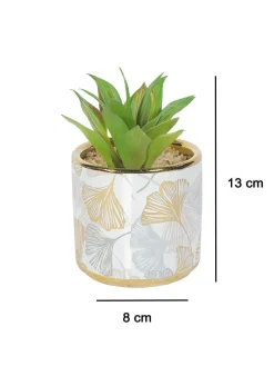 Market99 Fake Aloevera Desktop Planter