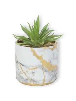 Market99 Fake Aloevera Desktop Planter