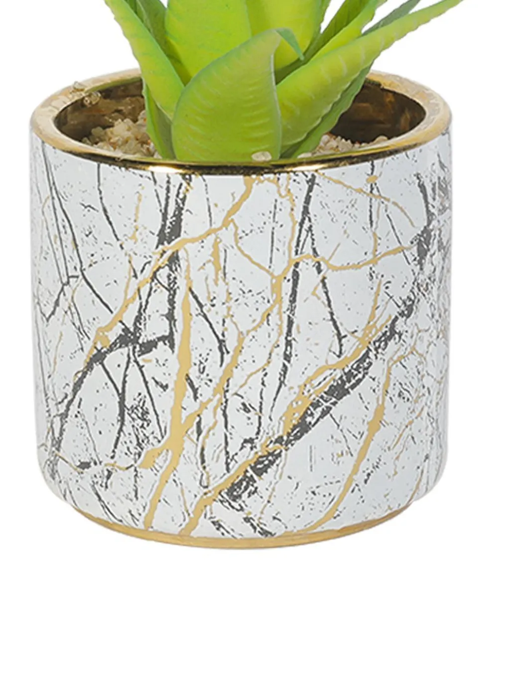 Market99 Fake Aloevera Desktop Planter