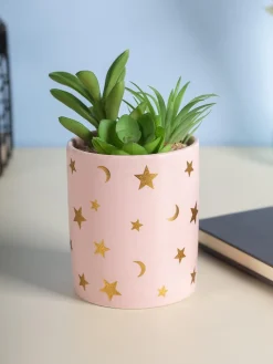 Market99 Fake Aloevera Planter Pot