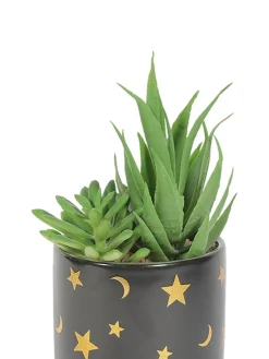 Market99 Fake Aloevera Planter Pot
