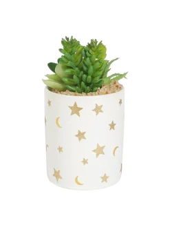 Market99 Fake Aloevera Planter Pot