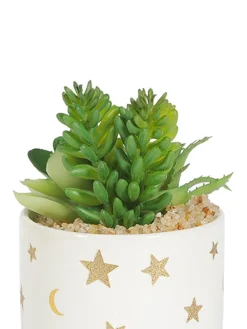 Market99 Fake Aloevera Planter Pot