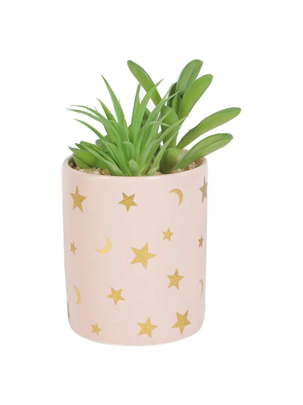 Market99 Fake Aloevera Planter Pot