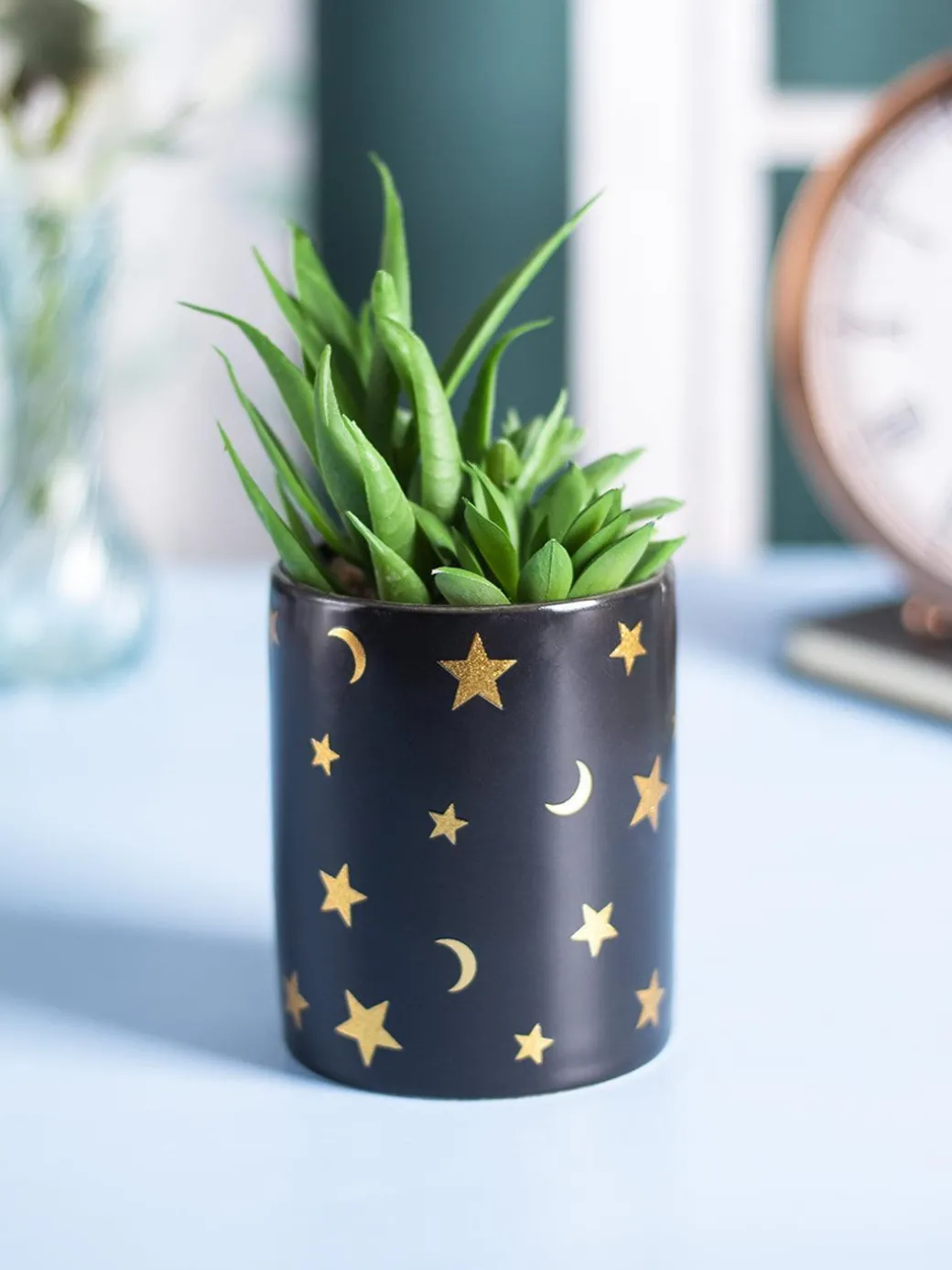 Market99 Fake Aloevera Planter Pot