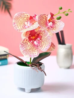 Market99 Pink Artificial Orchid Flower With Cyan Pot