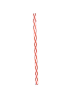 Mason Mug With Straw Set Of 2 (Each 450 Ml)
