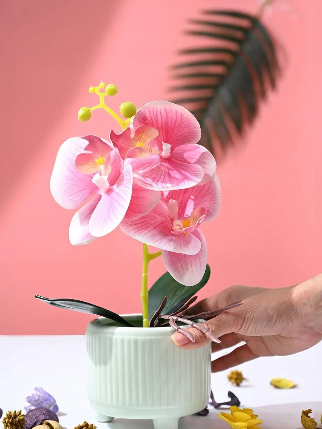 Orchid Flowers With Lightgreen Pot