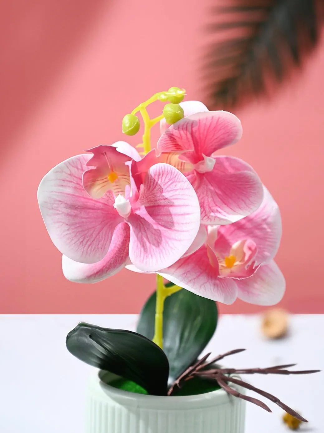 Orchid Flowers With Lightgreen Pot