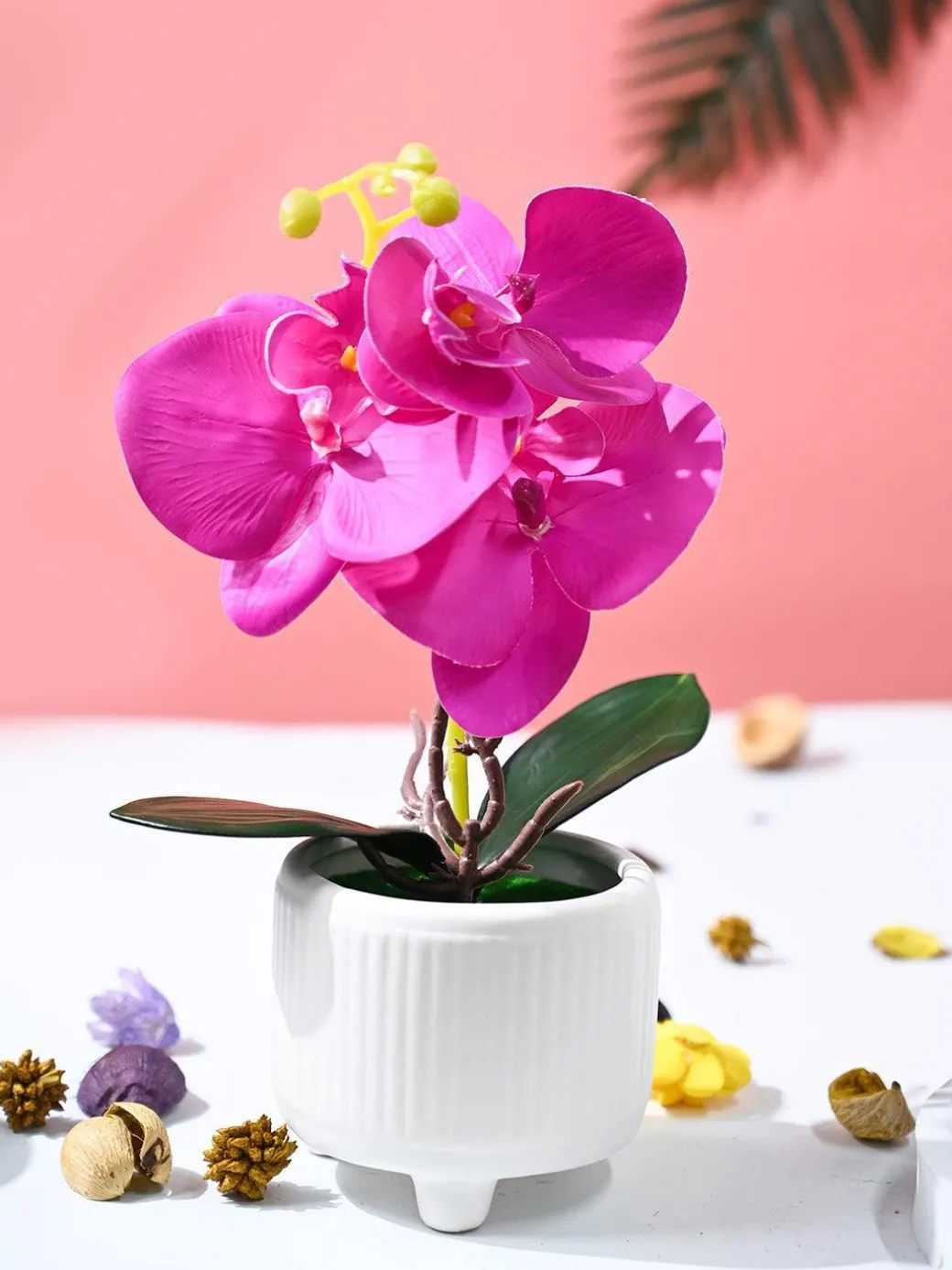 Orchid Flowers With White Pot