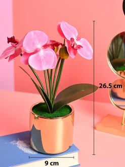 Pink Orchid Flowers With Golden Pot - Indoor Office Plants