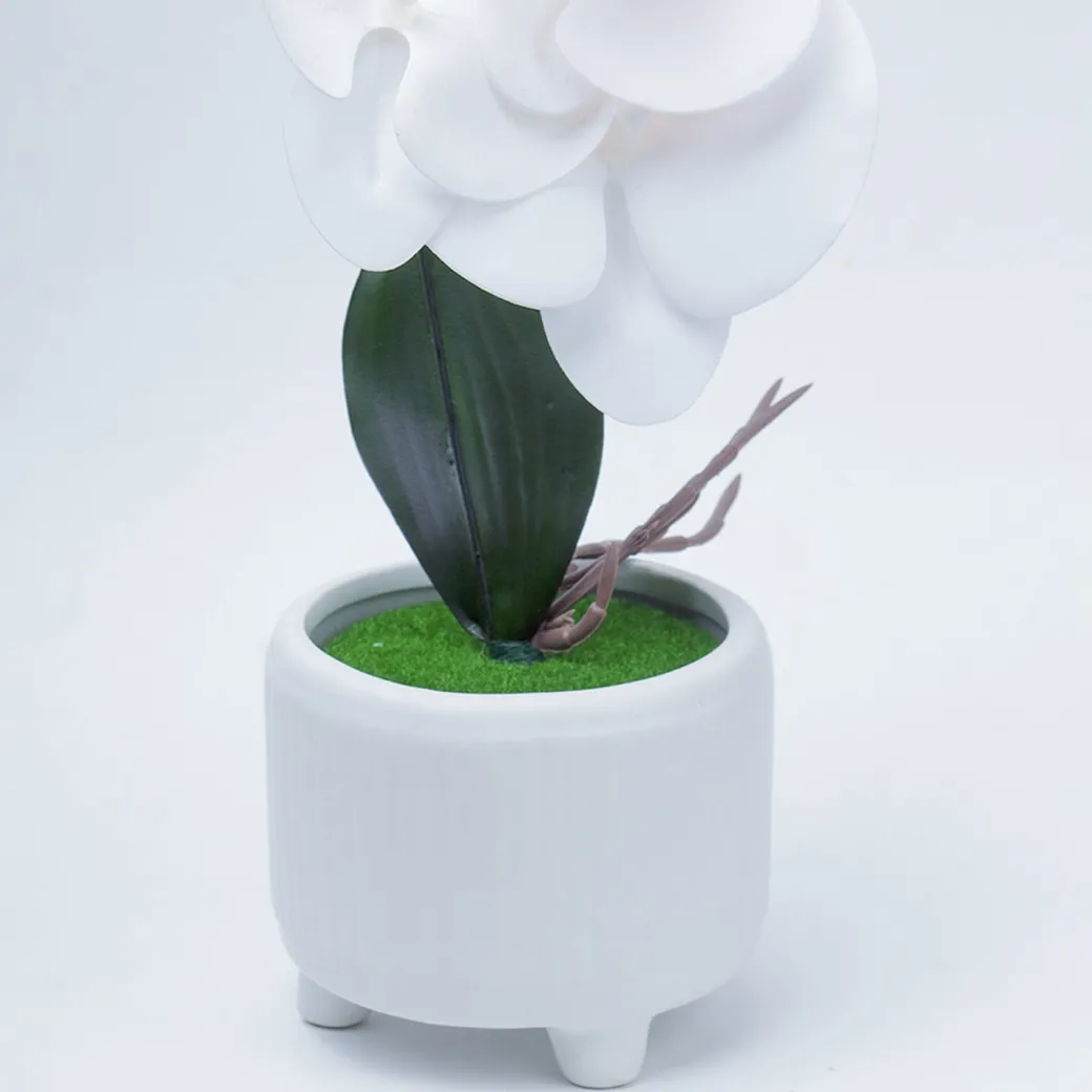 Stylish White Artificial Flowers With Pot - 10 X 10 X 34Cm
