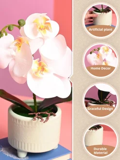 White Orchid Flowers With Green Pot - Indoor Office Plants